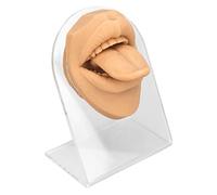 Modèle de piercing à lèvres en silicone souple, forme flexible de simulation de la bouche pour l'exercice de perçage et la présentation de bijoux, outil pédagogique avec support en acrylique (couleur