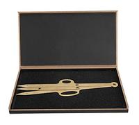 Modèle de pochoir à sourcils, règle de mesure et de positionnement pour la mise en forme des sourcils.Conception du nombre d'or, options dorées, argentées et noires. (Gold)