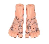 Modèle de point d'acupuncture de pieds humains 2 pièces, fournitures pédagogiques d'acupuncture de réflexologie du pied humain en PVC modèle de pied pour les écoles et les familles