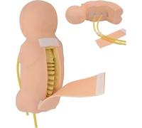 Modèle de ponction lombaire for bébé - Simulateur de formation à la ponction lombaire, mannequin de simulation 1:1, modèle d'évaluation de formation, for médecins, infirmières, étudiants