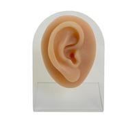 Modèle de pratique anatomie faciale en silicone réutilisable pour piercing sûr dans les cours médicaux et les laboratoires de cosmétologie, piercing corporel