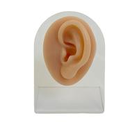 Modèle De Pratique D'anatomie Faciale En Silicone Réutilisable Pour Des Exercices Perçage Sûrs Dans Les Cours Médecine Et Les Ateliers Cosmétologie Simulateur Perçage Corporel