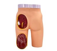 Modèle de pratique de l'injection des fesses - Modèle d'enseignement médical réaliste pour l'entraînement par injection, idéal pour les étudiants en médecine et les infirmières