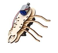 Modèle de projet robot pratique pour l'exploration de circuits et de | Composants de corps en bois à construire, moteur monté sur le dessus et fils visibles, projet scientifique familial