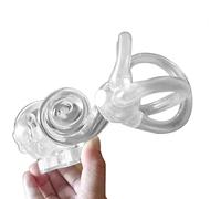 Modèle de rééducation vestibulaire cochléaire de l'oreille interne, modèle dynamique d'otolithes de canal semi-circulaire, modèle dynamique de particules d'otolithes for l'étude anatomique.(Right)