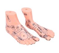 Modèle de réflexologie Plantaire, Grandes Polices sont clairs et Pratiques Acupuncture de Pied en PVC pour école pour Famille pour pour hôpital