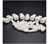 Modèle de remplacement des dents - dents dentaires Faux pratiques Modèle - Typodont Individue dents pour la pratique Nissin - 28 Pcs dents dentaires Modèle d'enseignement - Résine Modèle Tooth,A