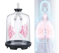 Modèle de respiration pulmonaire (1 pièce) - Simulateur de mouvement du diaphragme for l'enseignement de la biologie | Outil pédagogique for les soins de santé