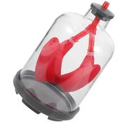 Modèle de Respiration Pulmonaire Éducative, Démonstration