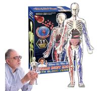 Modèle de Science du Corps Humain, modèle d'anatomie Squelette Transparent du Corps Humain, modèle de Squelette du Corps Humain, activité d'éducation Scolaire ornementaire de Bureau dans Le