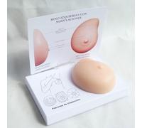 Modèle De Sein En Silicone, Modèle D'examen Des Seins Féminins, Modèle D'auto-examen Des Masses Mammaires Pathologiques, Avec Carte D'instructions Et Socle, Pour La Communication Médecin-patient
