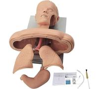 Modèle de simulateur de formation d'intubation trachéale d'entraîneur de gestion des voies respiratoires for adultes, formation éducative en laboratoire scientifique