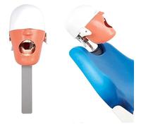 Modèle de simulateur dentaire Modèle d'enseignement Modèle grandeur nature Système d'enseignement dentaire oral simulé A