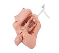Modèle de simulation d'accouchement à manivelle for une formation complète : fournit une pratique intégrée des examens prénatals, des soins de sage-femme et de l'accouchement