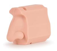Modèle de simulation d'anatomie nasale en silicone souple pour l'éducation des patients et des médecins