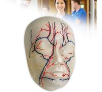 Modèle de simulation d'injection faciale, modèle d'injection réaliste réutilisable pour l'enseignement de la microplastie, la formation en esthétique et les étudiants en médecine.