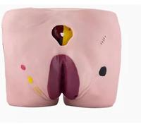 Modèle de soins infirmiers for les escarres, les 4 stades d'évolution des escarres, modèle de soins for les escarres chez les personnes âgées, for l'enseignement des exercices de soins