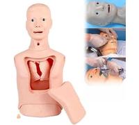 Modèle De Sonde Gastrique For Intubation, Modèle Avancé De Sonde Nasogastrique Et De Soins Trachéaux, Mannequin De Formation Multifonctionnel, Modèle De Trachéotomie Avec Lavage Gastrique