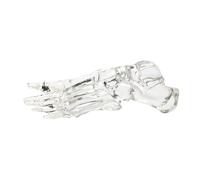 Modèle de squelette d'articulation du pied humain transparent pour l'anatomie du pied gauche et de la cheville pour l'enseignement, la recherche et l'utilisation éducative, squelette humain grandeur