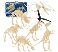 Modèle De Squelette De Dinosaure En Plastique Pour Enfants Jouet D'histoire Naturelle De Triple Apeur De Velocité De Dragon 6 Pièces Couleur De Squelette De Dinosaure