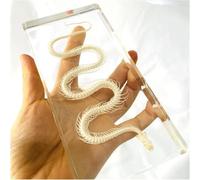 Modèle de squelette de serpent - Spécimen animal pédagogique dans un bloc acrylique for les salles de e sciences, matériel de taxidermie