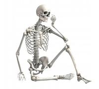 Modèle de squelette humain 90 cm - Figurine anatomique pour décoration d'Halloween - Modèle éducatif médical avec articulations mobiles - Réplique de squelette détaillée en plastique avec support