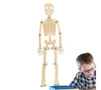 Modèle de Squelette Humain, Figurine d'action Squelette,Petit modèle de Corps Humain - Modèles d'anatomie Corps Humain, Squelette d'anatomie Anatomique Humaine pour et Adultes