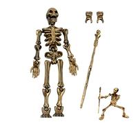 Modèle de squelette posable - jouet d'anatomie humaine, squelette articulé | Figure d'affichage d'Halloween réglable, accessoire de bureau gothique, accessoire d'os de crâne réaliste avec flexibilité