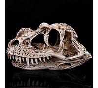 Modèle de Statue en résine de Dinosaure Fait à la Main - Scientifique de l'éducation pour Les Jouets, Recherche Animale pour l'outil de présentation Scolaire