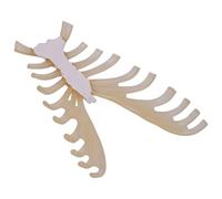 Modèle de sternum humain 1:1 Outil d'enseignement médical Squelette Anatomie Fournitures scolaires pour étudiants Étudier Squelette pour Anatomie Sternum Aide médicale