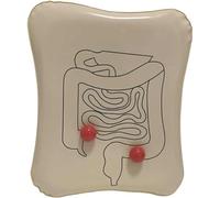 ModèLe De Stomie, ModèLe De Remplacement De Poche De Stomie Pour Soins De Stomie, ModèLe De Stomie EntéRo-Urinaire Avec RèGle GraduéE, Pour L'Enseignement Et La Recherche Scientifique