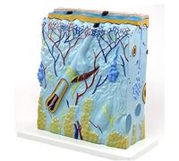 Modèle De Structure De Tissu Cutané Humain, Modèle De Structure De Peau D'organes du Corps Humain D'anatomie pour L'affichage D'étude en Classe De Sciences, Fournitures De Laboratoire
