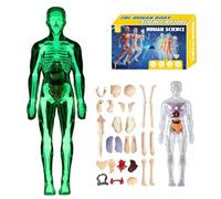 Modèle de structure du corps humain clair, kit d'anatomie 3D de 29 pièces avec organes et os amovibles, modèle d'organe de torse humain assemblé à faire soi-même pour apprendre l'anatomie (lumineux)
