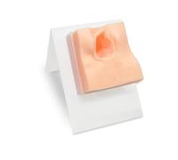 Modèle de suture périnéale - Modèle d'entraînement à la réparation périnéale, moules pour sutures chirurgicales vulvaires, simulateur de déchirure vaginale pour la formation obstétricale.