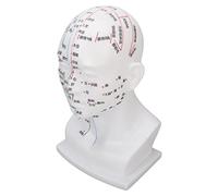 Modèle de Tête D'acupuncture, Modèle de Tête de Point D'acupuncture, Modèle de Tête D'acupuncture en PVC, Modèle de Tête de Méridiens de Massage du Visage Blanc, Accessoires