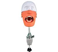 Modèle de tête de mannequin dentaire Simulateur de tête de mannequin dentaire avec support pour cabinet dentaire et assistant A
