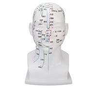 Modèle de tête de point d'acupuncture PVC blanc Massage du visage méridiens modèle de tête accessoires d'enseignement 11,8 pouces outil de formation d'acupuncture professionnel