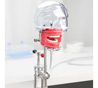 Modèle de tête fantôme dentaire pour la formation, moule de tête simple pour la simulation orale, moule de tête d'entraînement pour étudiant rotatif à 360 degrés A