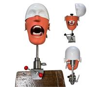 Modèle de tête fantôme dentaire - Simulateur pour entraînement et pratique des dentistes avec support de banc, aide à l'enseignement dentaire sûre et inodore