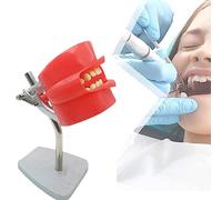 Modèle de tête fantôme dentaire, support de banc de modèle de dents, | Système de simulation avec base en acier inoxydable, for l'enseignement de l'hygiène bucco-dentaire des dentistes(A)