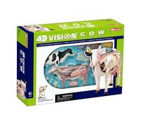 Modèle de vache 4D Vision, modèle d'anatomie d'organe de vache détachable en 29 parties, modèle d'anatomie de jouet d'assemblage d'intelligence de vache 4D, formation vétérinaire
