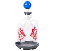 Modèle d'échange pulmonaire humain surdimensionné démontrant le mouvement du diaphragme pour l'éducation respiratoire en classe Modèle respiratoire