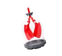 Modèle d'échange pulmonaire humain surdimensionné démontrant le mouvement du diaphragme pour l'éducation respiratoire en classe Modèle pulmonaire