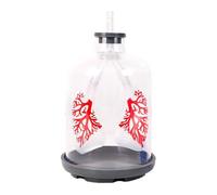 Modèle d'éducation médicale pour le mouvement du diaphragme et l'échange pulmonaire démonstration en salle de classe Modèle pulmonaire de construction solide