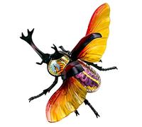 Modèle D'enseignement 4D, Modèle D'anatomie Insecte Amovible, Modèles De Biologie, Modèle D'organe D'insectes, Puzzle pour L'assemblage