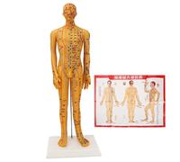 Modèle d'enseignement de médecine chinoise de 53 cm pour l'acupuncture du corps humain avec points de pression d'acupuncture, idéal pour apprendre et enseigner l'acupuncture
