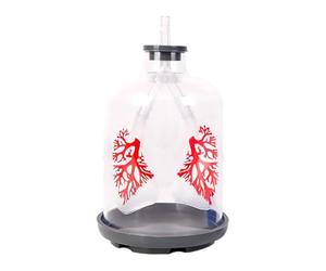 Modèle d'enseignement d'échange pulmonaire pour le mouvement du diaphragme dans l'éducation respiratoire Format surdimensionné pour un apprentissage efficace Modèle pulmonaire
