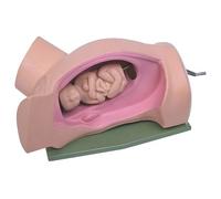 Modèle d'enseignement du corps humain - Modèle d'entraînement à l'accouchement pelvien féminin avec bébé - for démonstration médicale et affichage d'apprentissage