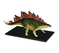 Modèle d'enseignement médical d'orgue de dinosaure animal détachable en 39 pièces, modèle anatomique stégosaure, for l'éducation médicale