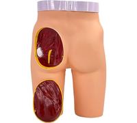 Modèle d'entraînement à injection fessière avec hanche amovible pour la pratique médicale, anatomie réaliste pour étudiants et infirmières